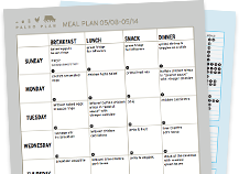 Samples of the Paleo Plan printouts