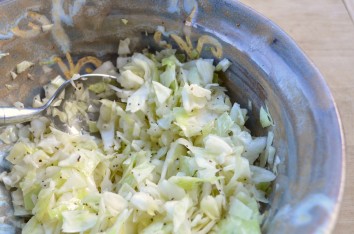 paleo-recipes_coleslaw