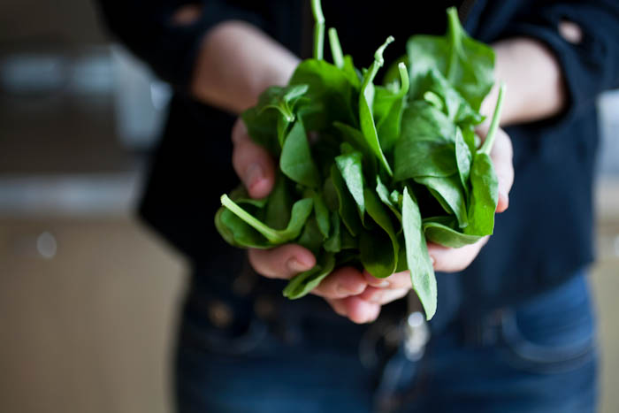 "Creamy" Pesto Sauce