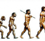 Evolution of the fat man