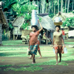Kitavans