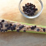 paleo-recipes_ants-on-a-log