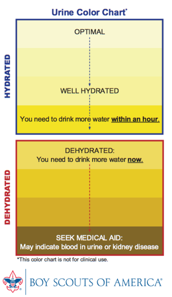 Paleo Water Chart Paleo Water Test