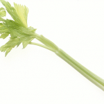 Celery