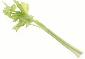 Celery