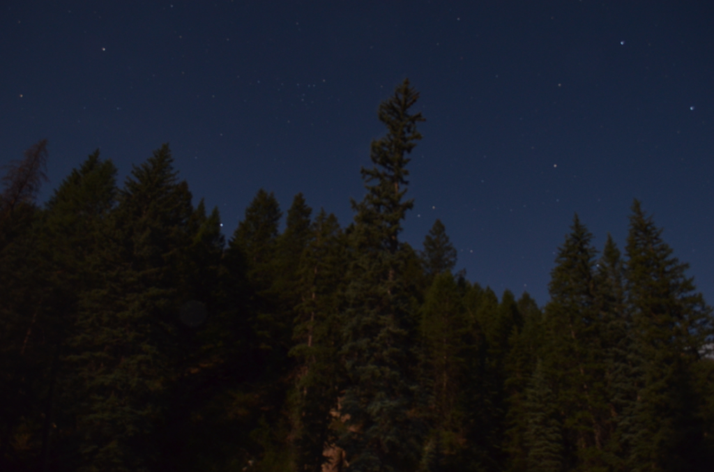 starlight and moonlight
