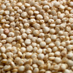 Quinoa