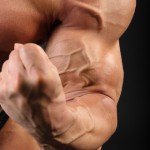 enormous biceps